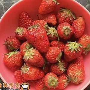 黄贯中：从音乐传奇到“娱乐吃瓜酱”的多面人生轨迹